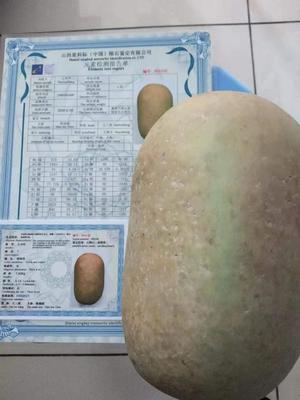 S005 重量:7620g，种类：石陨石(夜明珠），有证书(山西星科技陨石鉴定证书)，联系方式:13885952687。