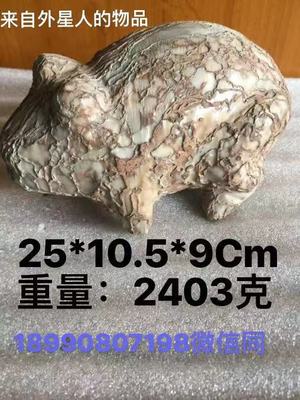 YX1 &nbsp;&nbsp;&nbsp;&nbsp;&nbsp;来自外星人物品 &nbsp;&nbsp;&nbsp;&nbsp;&nbsp;&nbsp;重量 ：2403克 &nbsp;&nbsp;&nbsp;&nbsp;&nbsp;&nbsp;&nbsp;价格面议 &nbsp;&nbsp;&nbsp;&nbsp;&nbsp;&nbsp;&nbsp;&nbsp;联系电话 &nbsp;&nbsp;：18990807198