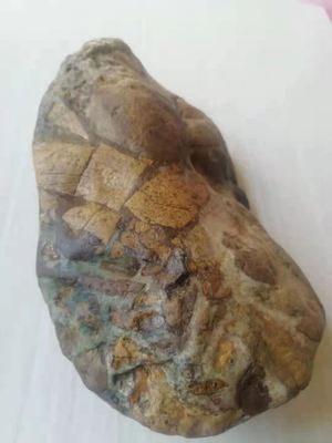 J007 角砾岩月球陨石，价格议价，电话13769868139