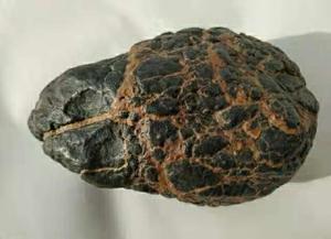 S016  石陨石奇石（宇宙之脑） 发现于宁夏戈壁滩洪水沟壑中  769克  价格面议.联系电话:15909617559